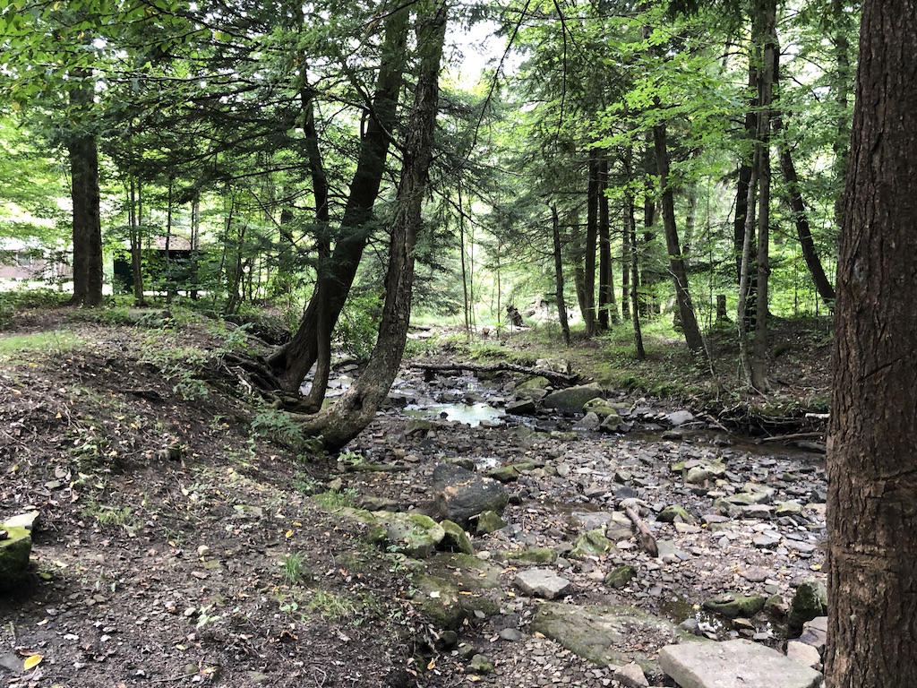 Little creek by the cabin