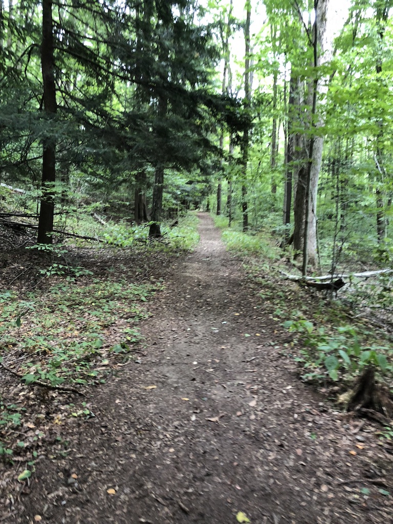 Hiking Trail